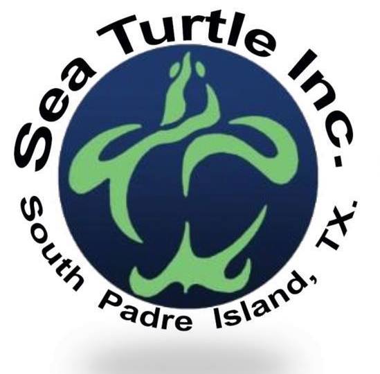 Sea Turtle Inc. Logo