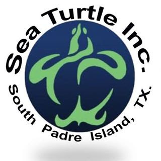 Sea Turtle, Inc. to host "Cause for Conservation: A Conversation on Sustainable Fishing Practices