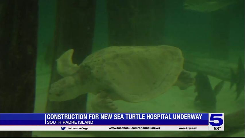 Construction for new sea turtle hospital underway in South Padre Island 