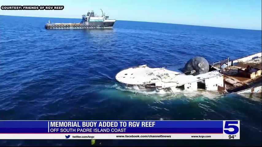 ‘We’ve made an entire ecosystem:’ Artificial reef near South Padre Island growing 